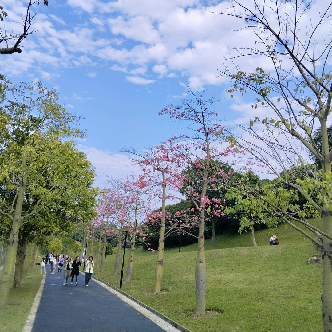 阳阳调味品