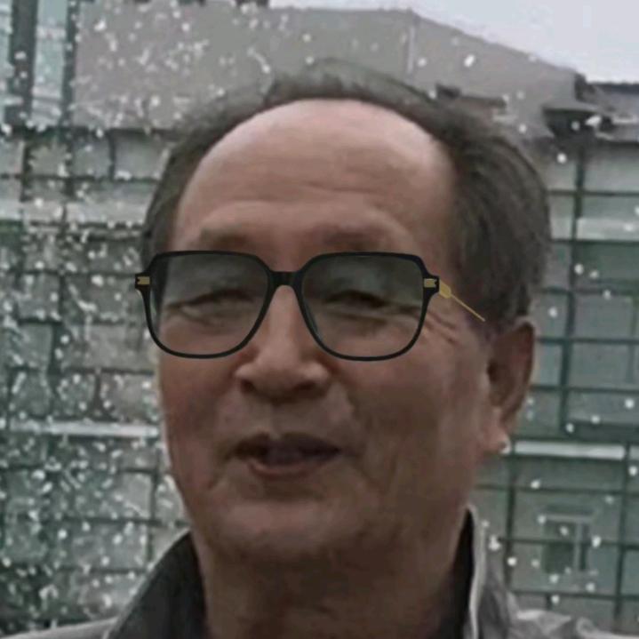星晨风霜傲骨