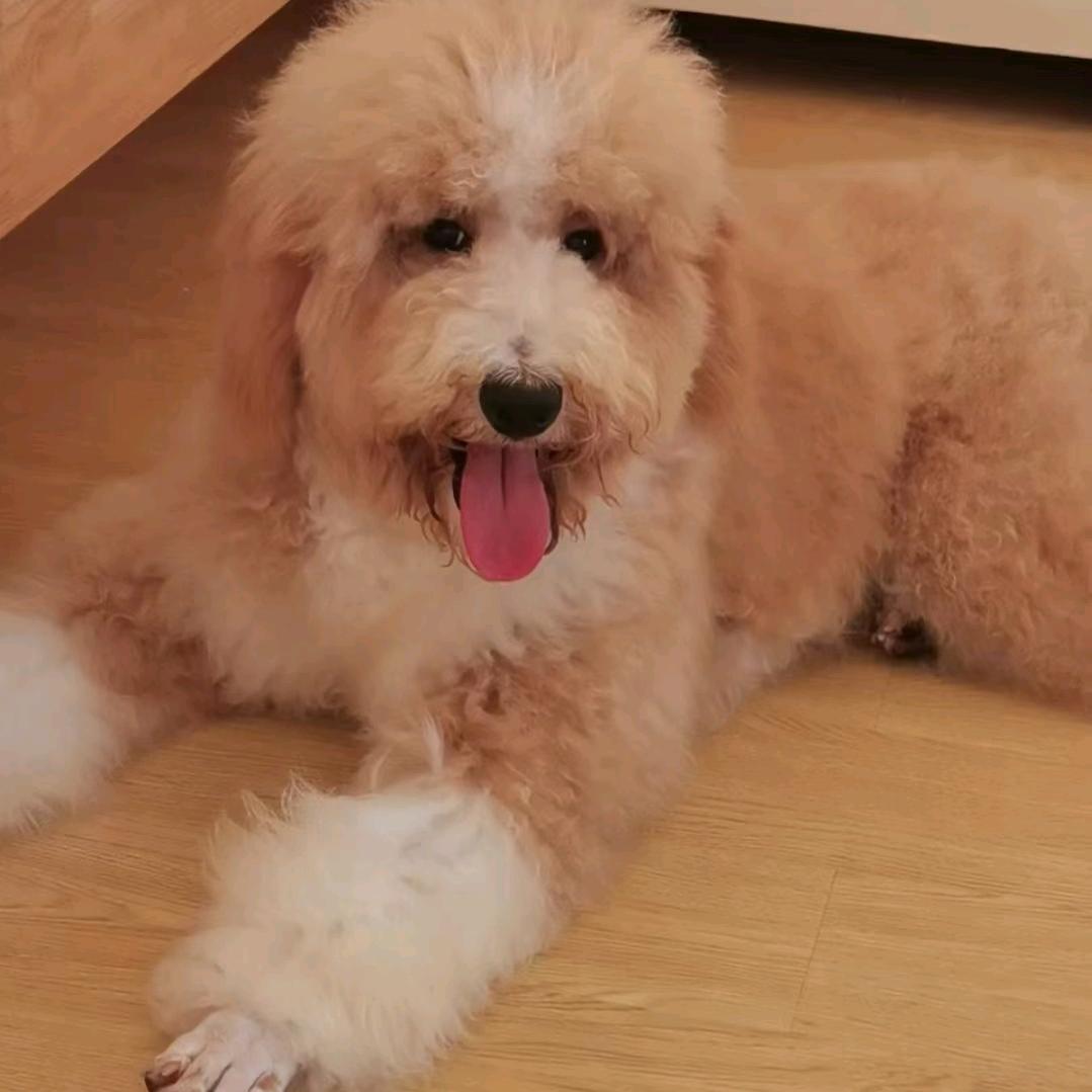 一一宝贝