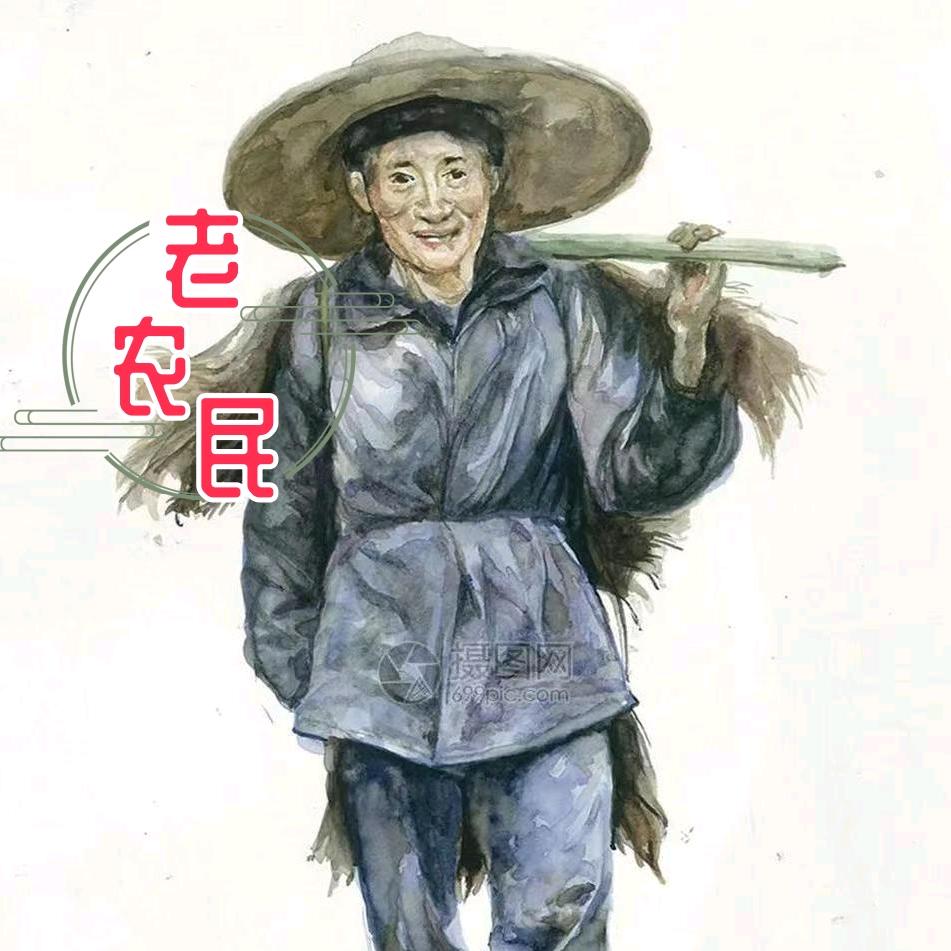 老农民健康食品