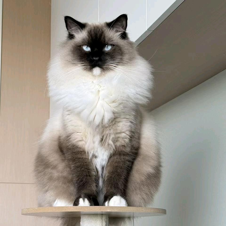 吃苦耐劳只会吃