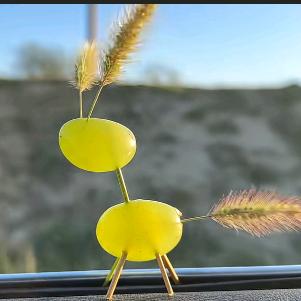 桃花秋
