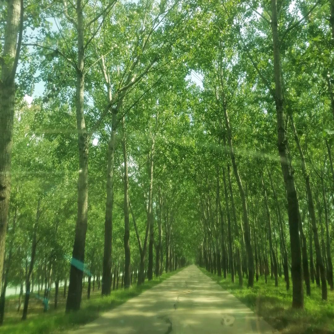 金金是你