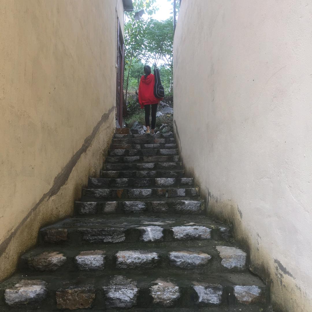 洋蘑菇