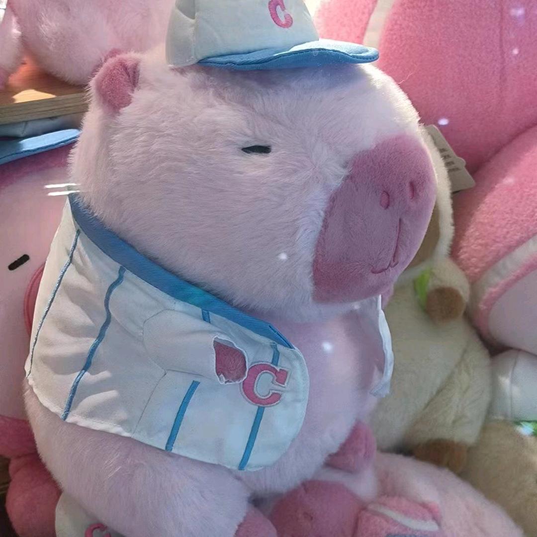 chichi助眠
