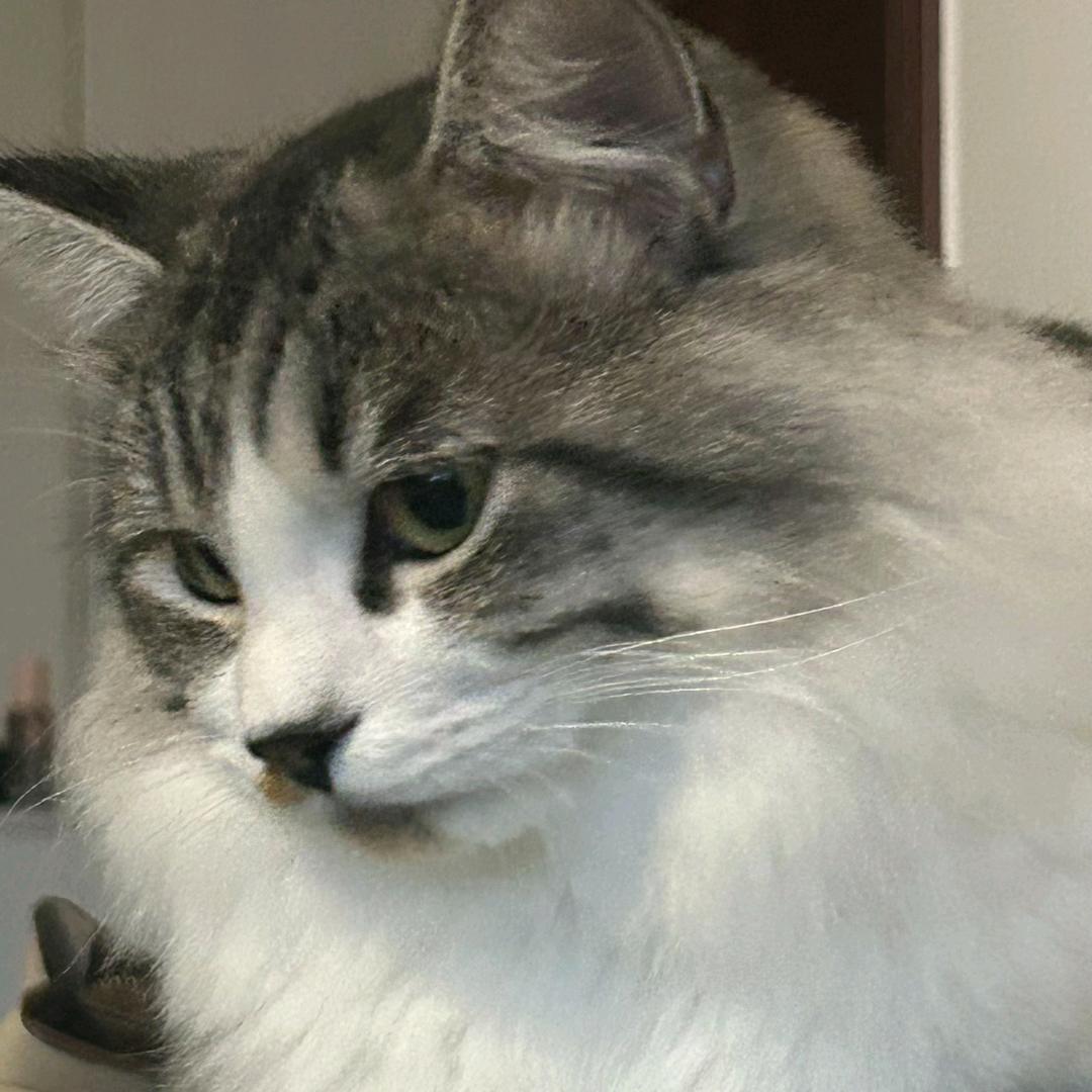 寻找自我