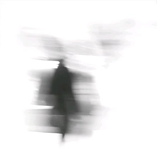 全世界虫子都去死