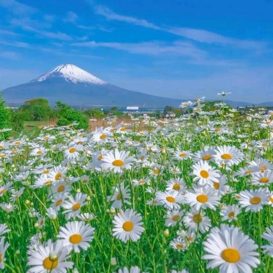 月月吖