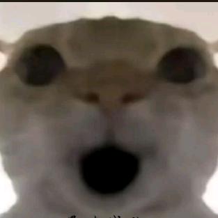 小鹿