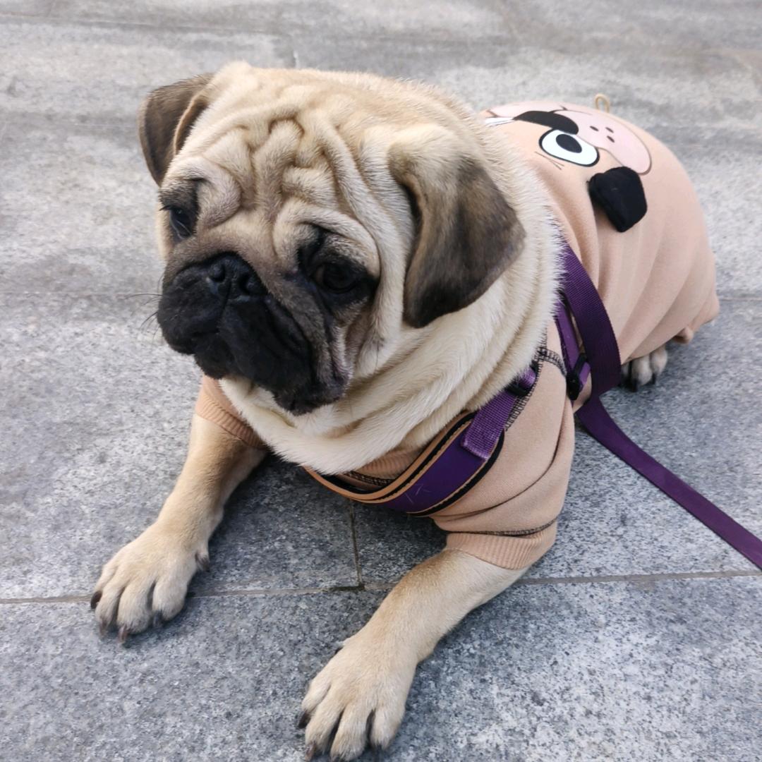 @巴顿！