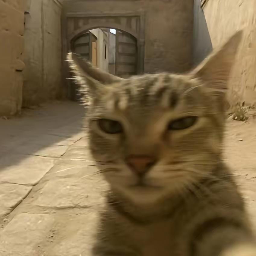 ₍˄·͈༝·͈˄*₎◞ ̑̑