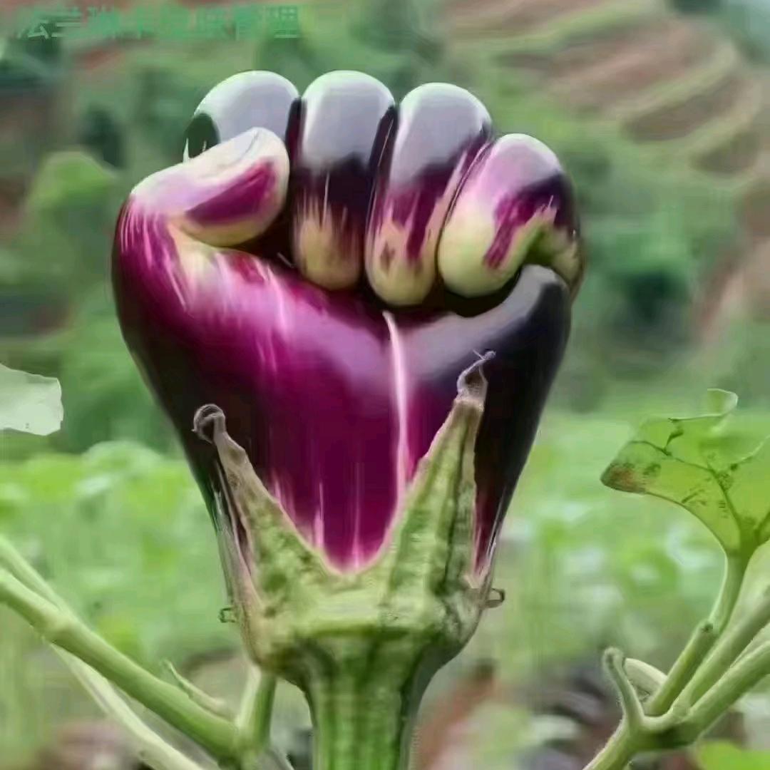 青春