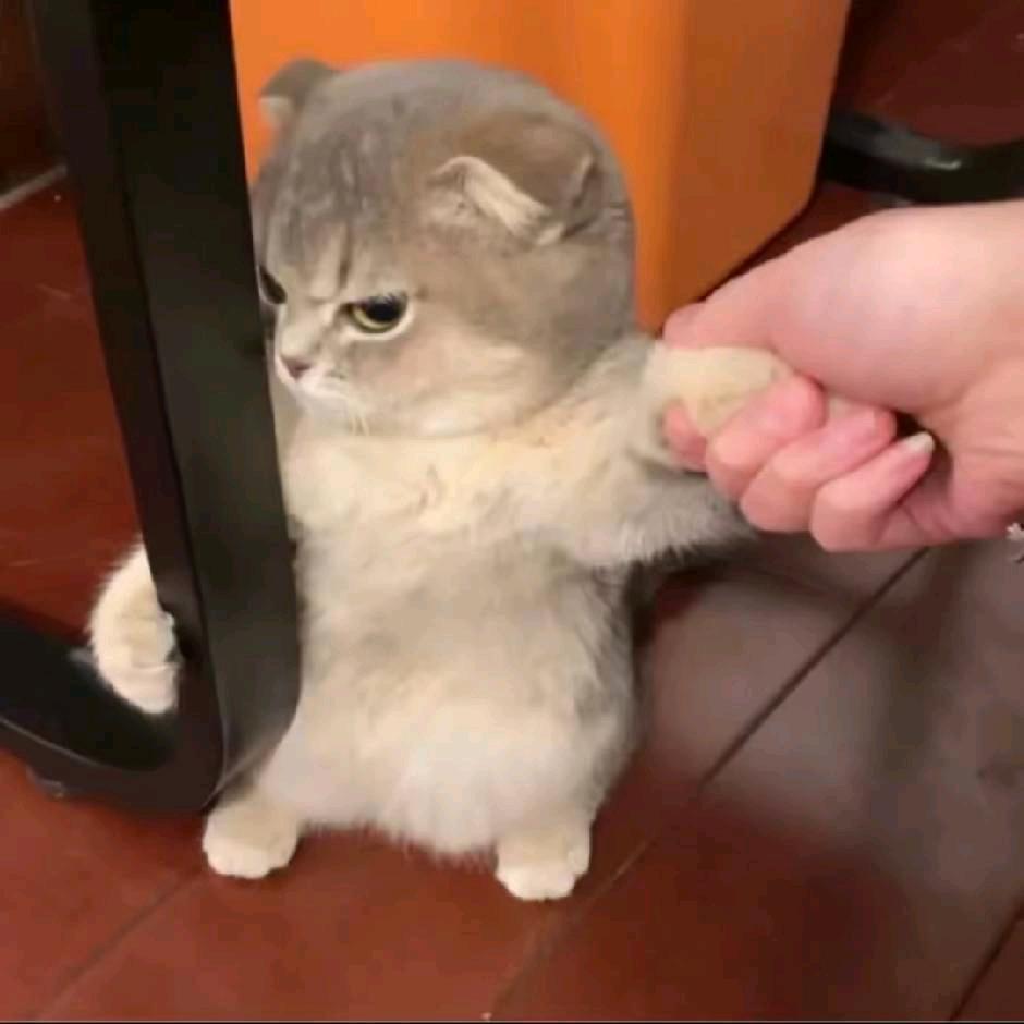 总有姐姐偷看我