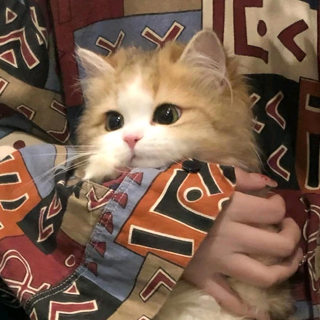 遇