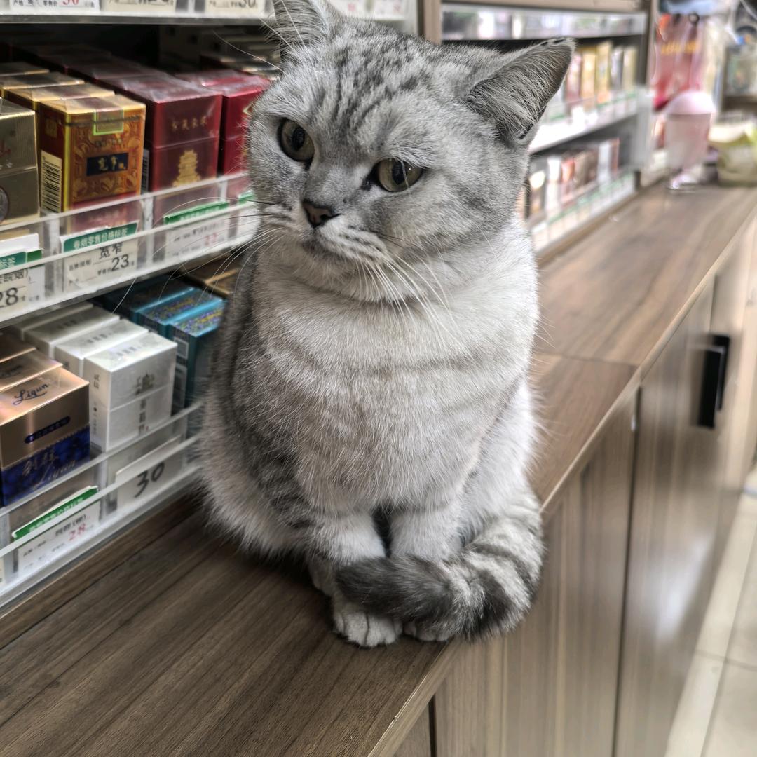 不愿醒来只因梦里有你