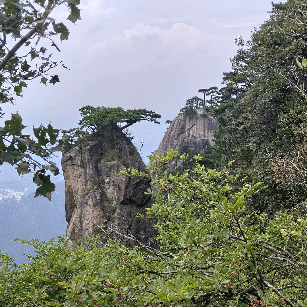 厅妹崽