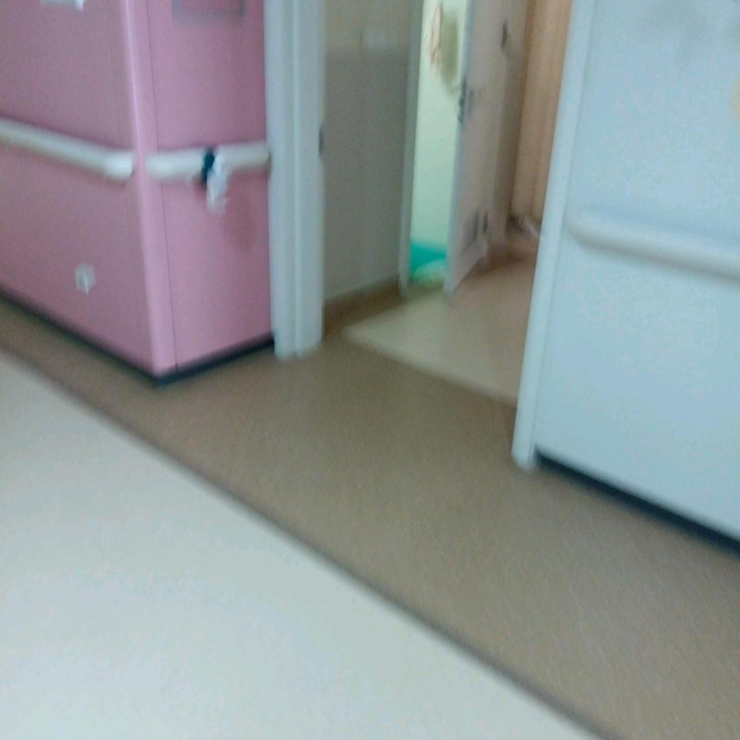 阳光花朵