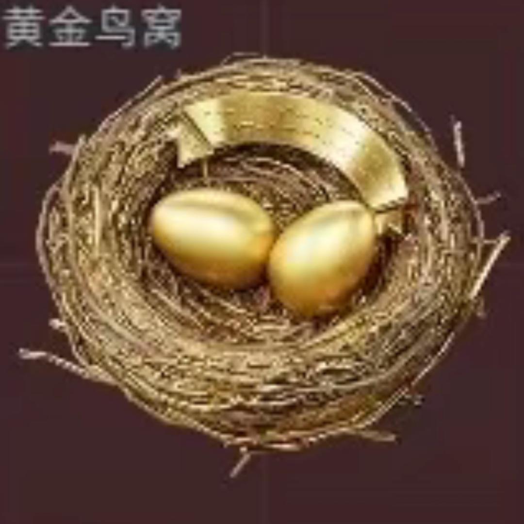 黄金鸟窝（协议箱主播自备）