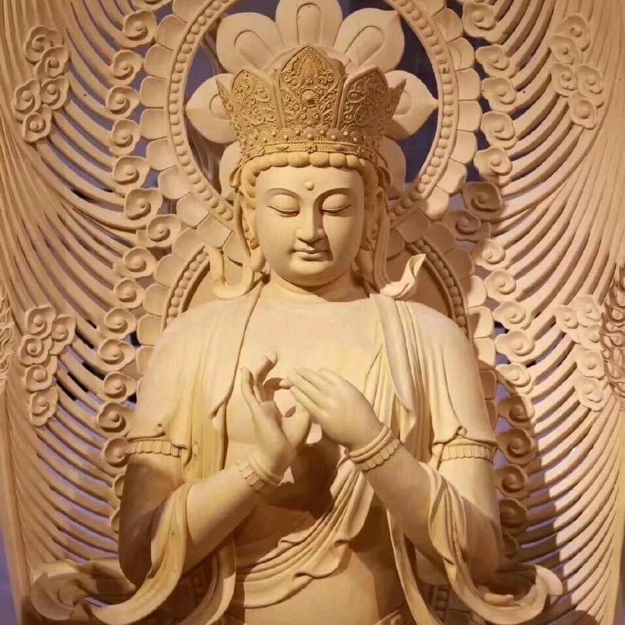 @@东道主-