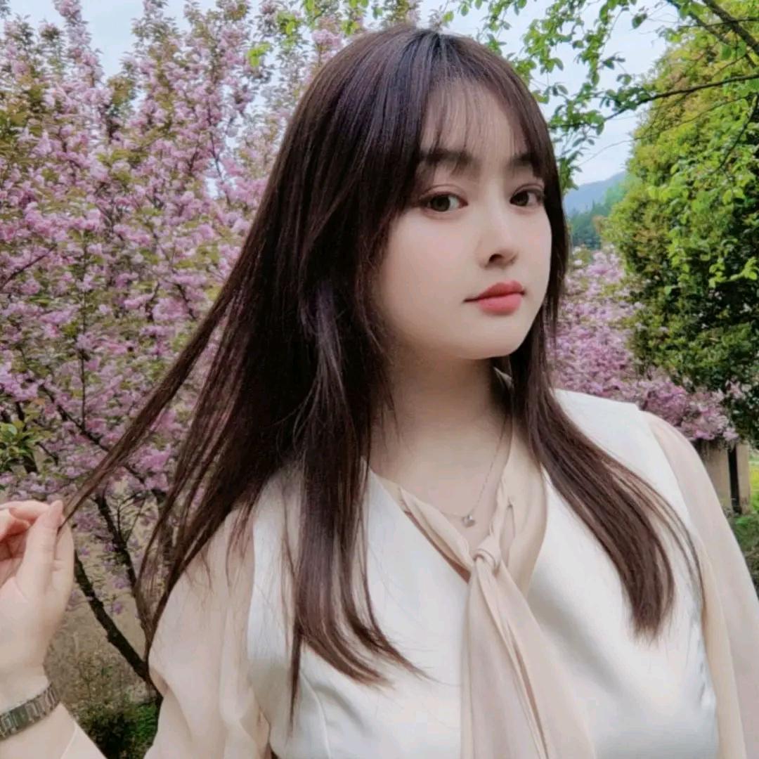 哈尼