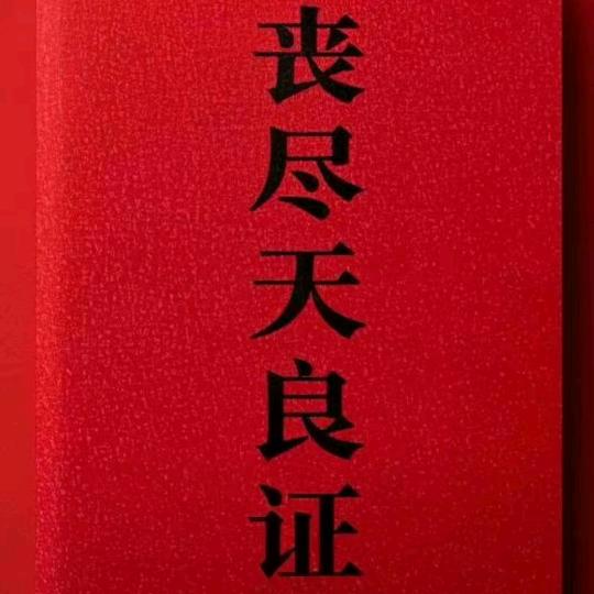 捏婆鸭四号（劳死累死）
