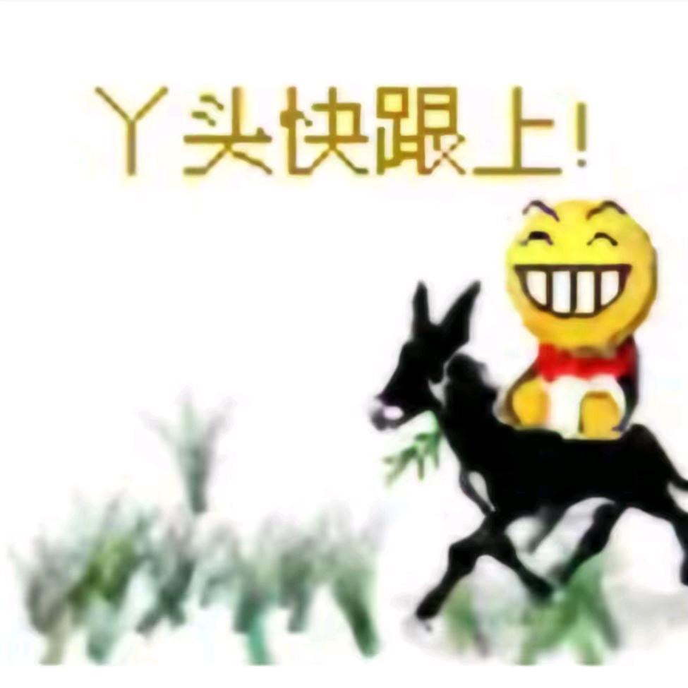 -未知鱼🐾