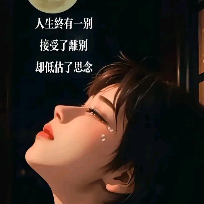 ❤️心灵的港湾❤️