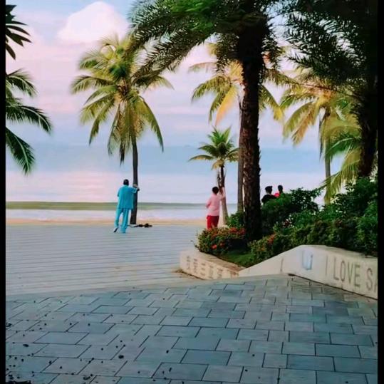 @四姐🌴