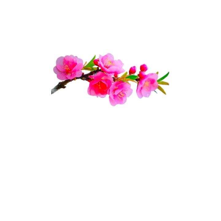 春江花月夜