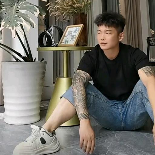 在上饶做缅因猫的文锋