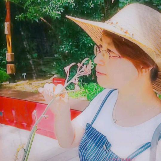 雨后彩虹（13:15分）