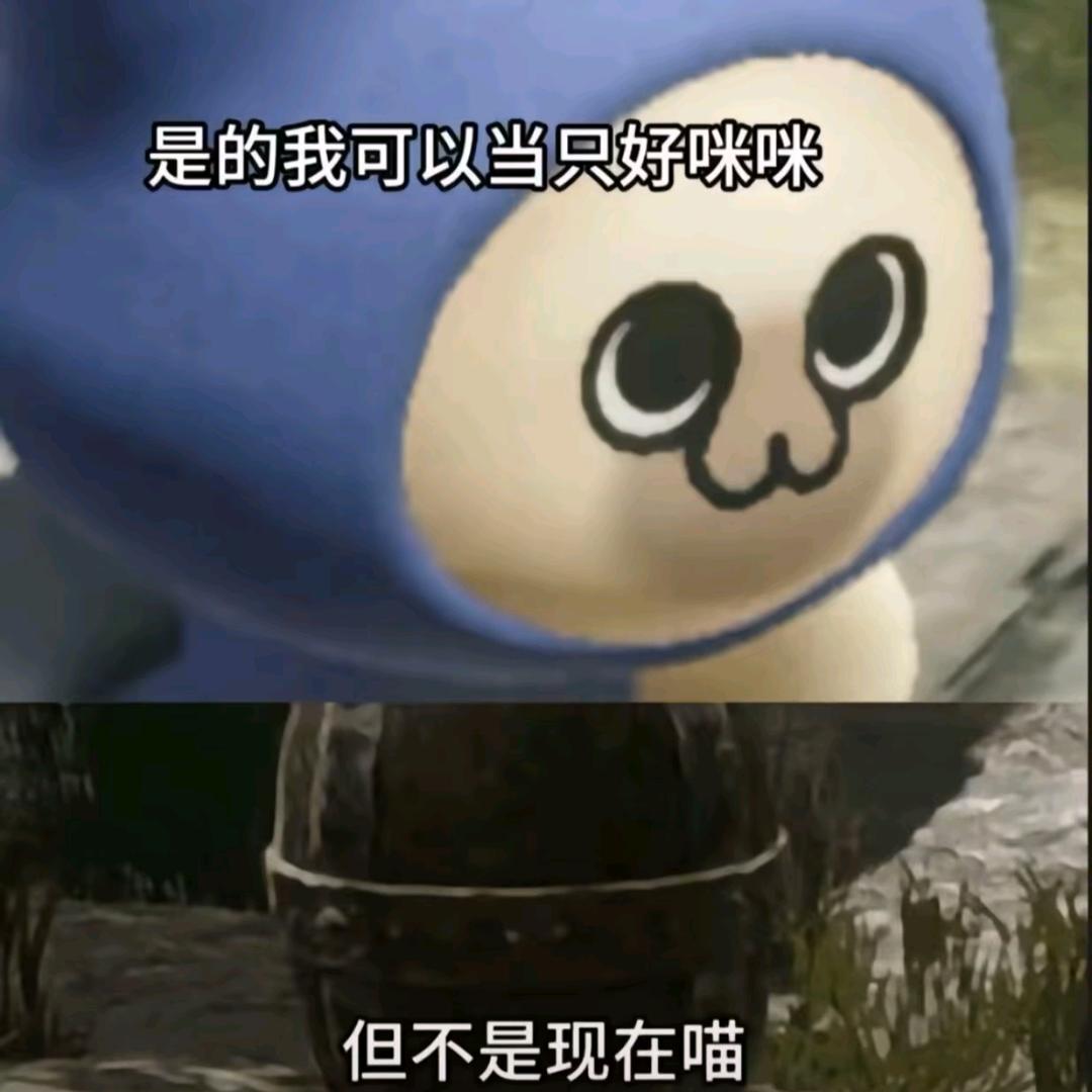 重生之我是主播