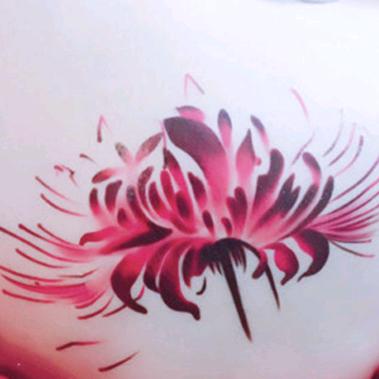 @💋爱不解释●﹏●