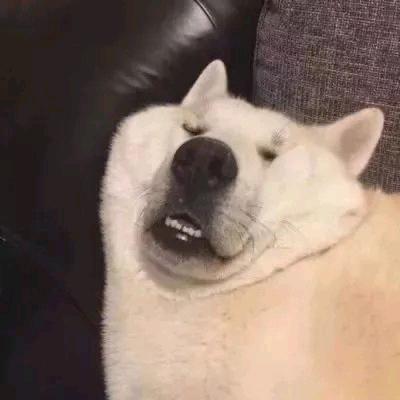 暴躁啊徐`