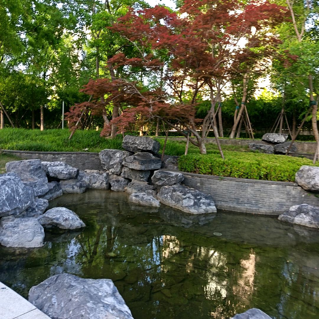 小豆