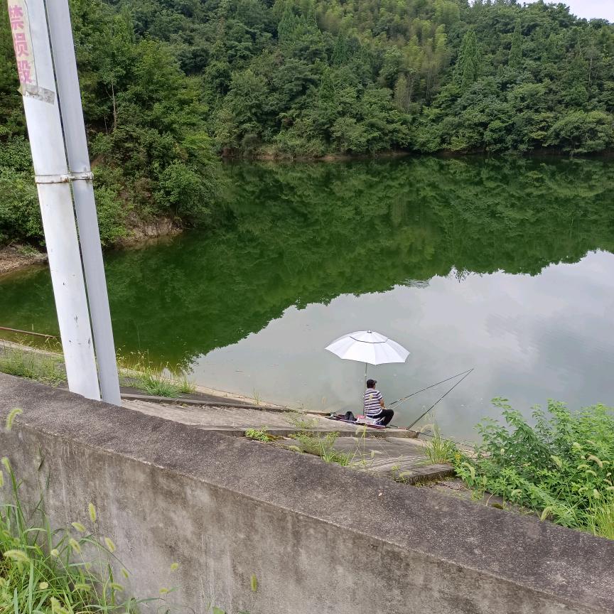 努力奋斗