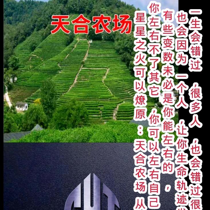 天合农场
