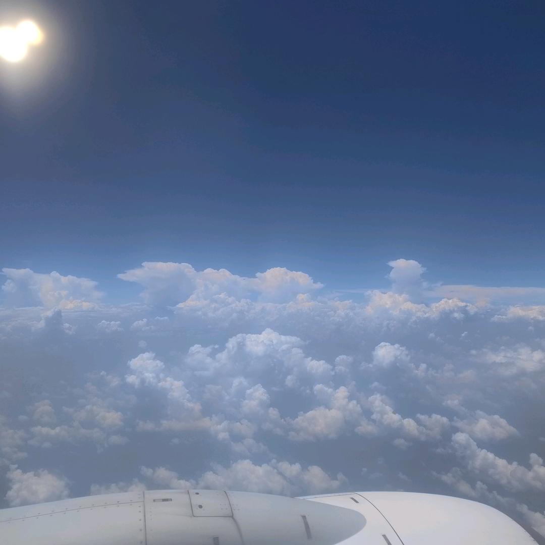 美人痣668