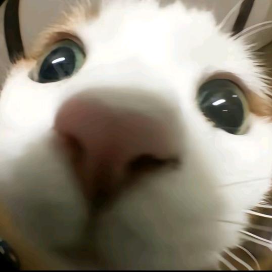 hhhhhhhhhhh