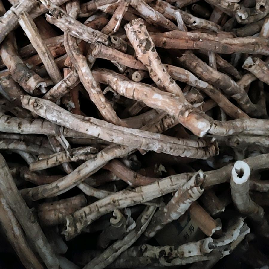 刘震☞专业丹皮