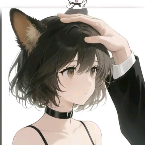 叫紫紫♡