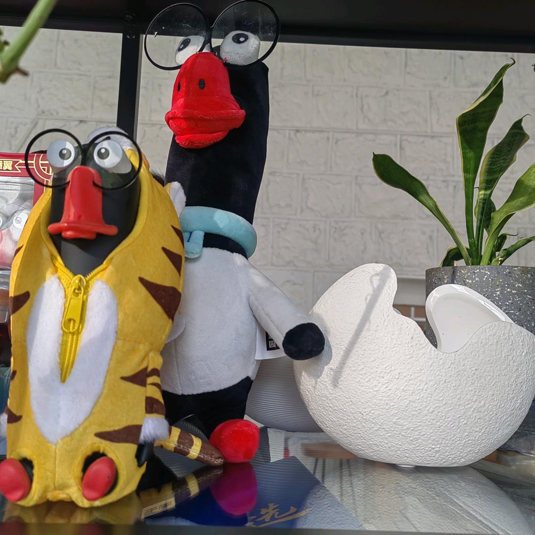 打样记录分享号