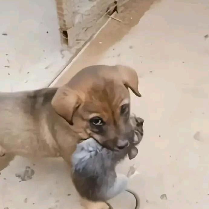祖传汽修