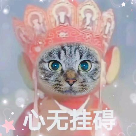 叶欠欠