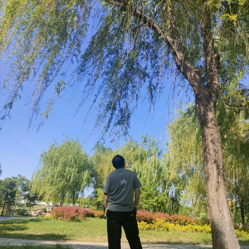 郑小胖爱好者