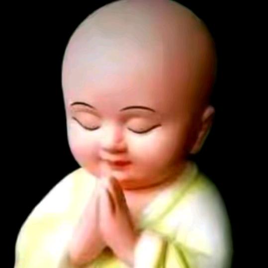 南柯一梦