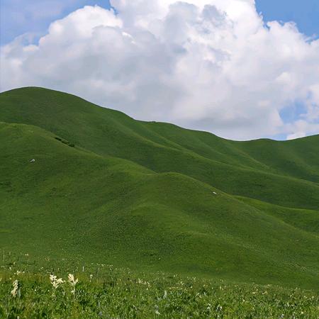 风景