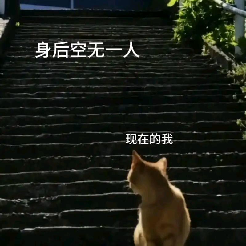 派大星
