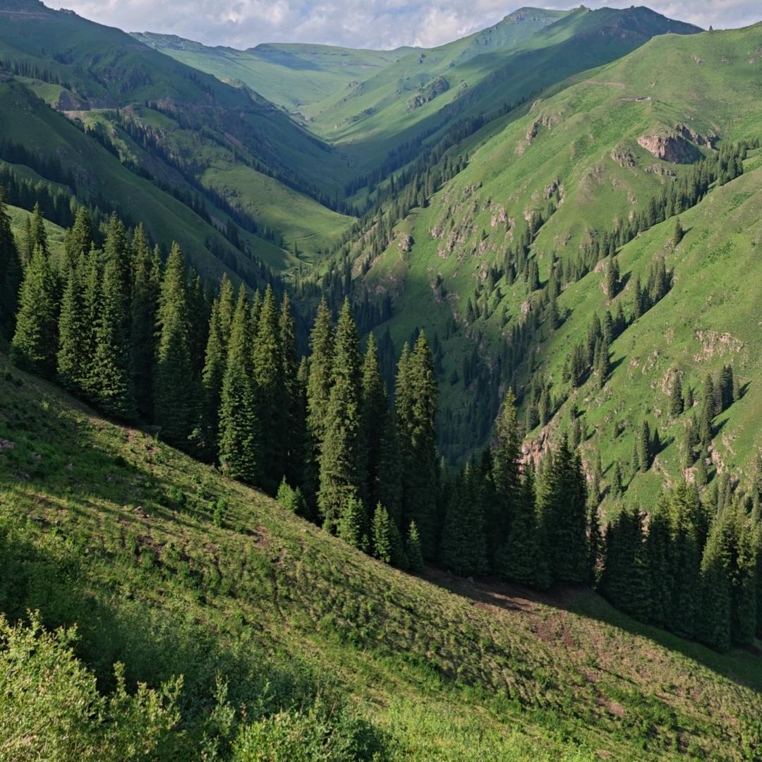 Nice Fold & Hero Cal