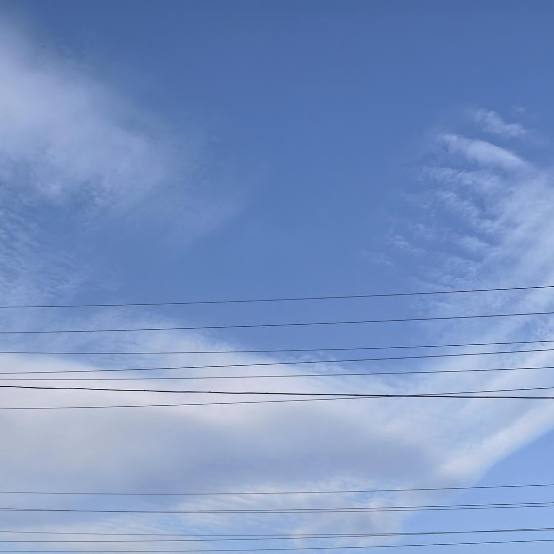 禅